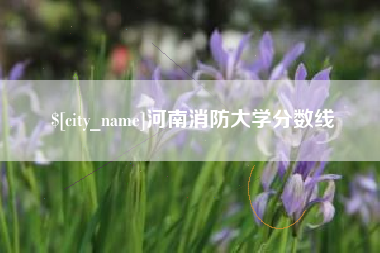 烟台河南消防大学分数线