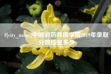 烟台中国消防救援学院2019年录取分数线是多少