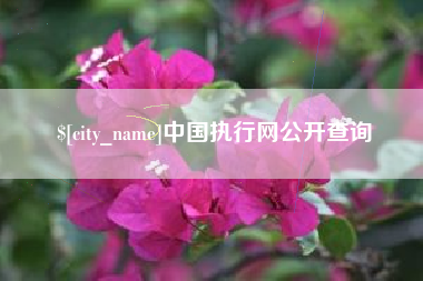 烟台中国执行网公开查询