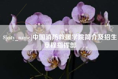 烟台中国消防救援学院简介及招生章程指挥部
