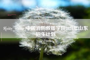 烟台中国消防救援学院2021年山东招生计划