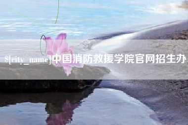 烟台中国消防救援学院官网招生办