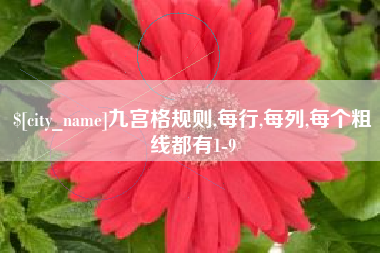 烟台九宫格规则,每行,每列,每个粗线都有1-9