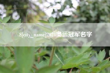 烟台2024奥运冠军名字