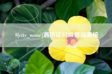 烟台消防证初级查询系统