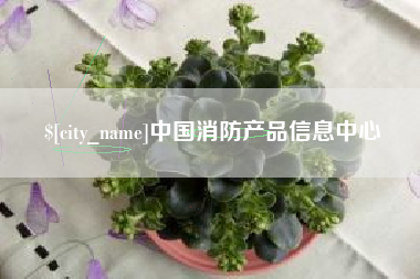 烟台中国消防产品信息中心