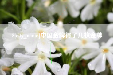 烟台中国金牌得了几枚金牌