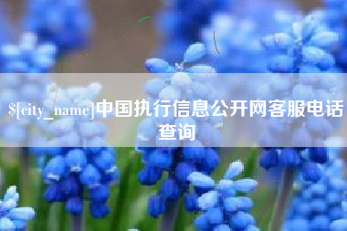 烟台中国执行信息公开网客服电话查询
