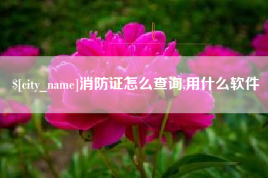烟台消防证怎么查询,用什么软件