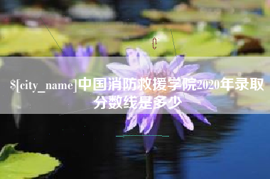 烟台中国消防救援学院2020年录取分数线是多少