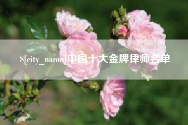 烟台中国十大金牌律师名单