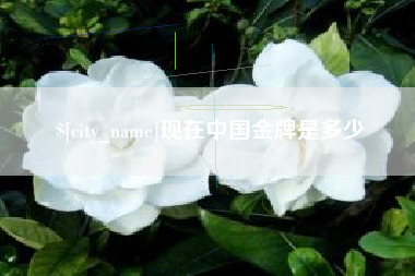 烟台现在中国金牌是多少