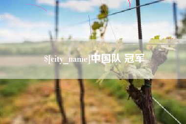 烟台中国队 冠军