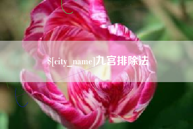 烟台九宫排除法