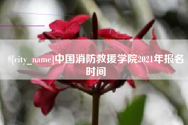 烟台中国消防救援学院2021年报名时间