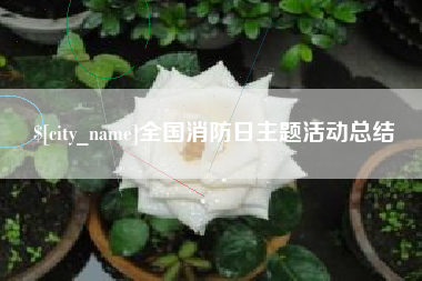 烟台全国消防日主题活动总结