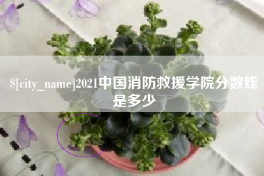 烟台2021中国消防救援学院分数线是多少