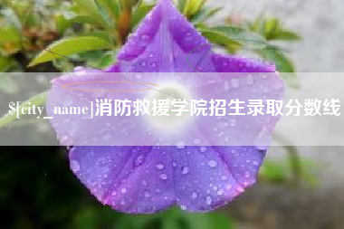 烟台消防救援学院招生录取分数线