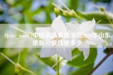 烟台中国消防救援学院2021年山东录取分数线是多少