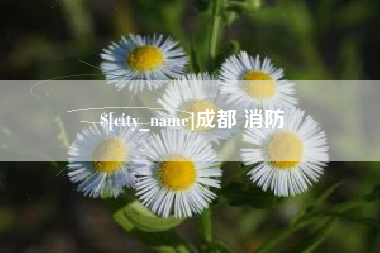 烟台成都 消防