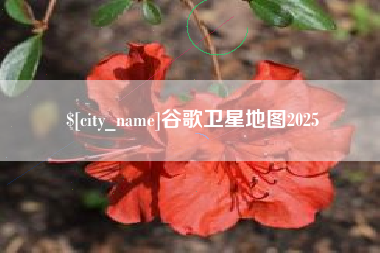 烟台谷歌卫星地图2025
