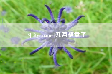 烟台九宫格盘子
