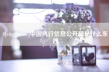 烟台中国执行信息公开网是什么东西