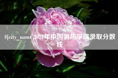 烟台2021年中国消防学院录取分数线