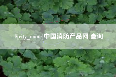 烟台中国消防产品网 查询