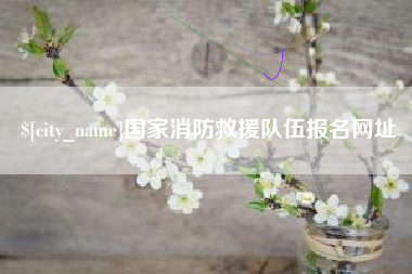 烟台国家消防救援队伍报名网址