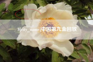 烟台中国第九金回放