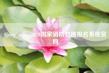 烟台2020国家消防救援报名系统官网