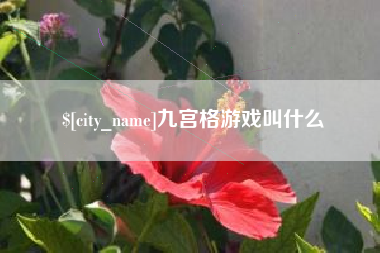 烟台九宫格游戏叫什么