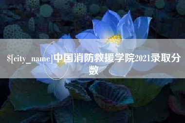 烟台中国消防救援学院2021录取分数