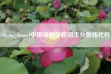 烟台中国消防学校招生分数线代码