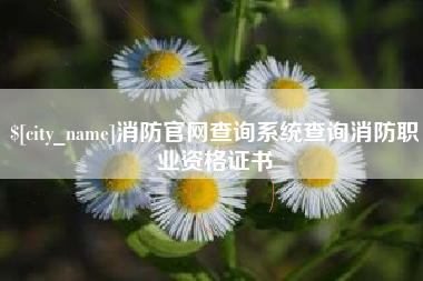 烟台消防官网查询系统查询消防职业资格证书