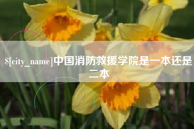 烟台中国消防救援学院是一本还是二本