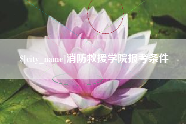 烟台消防救援学院报考条件