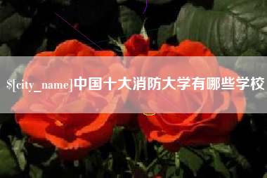 烟台中国十大消防大学有哪些学校