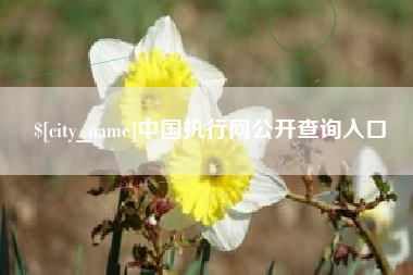 烟台中国执行网公开查询入口