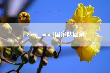 烟台国家队图案