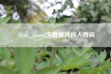 烟台失信被执行人杳询