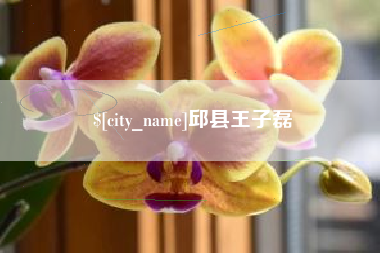 烟台邱县王子磊