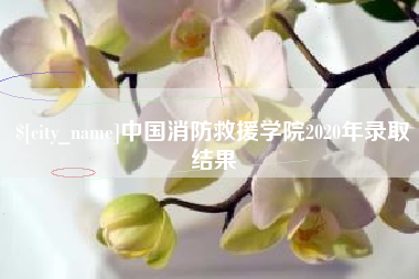 烟台中国消防救援学院2020年录取结果
