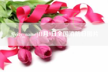 烟台11月9日全国消防日图片