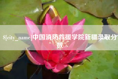 烟台中国消防救援学院新疆录取分数