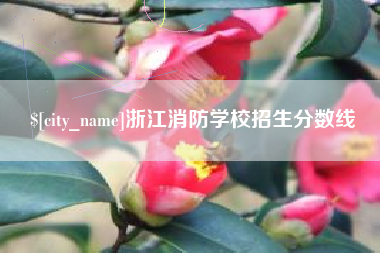 烟台浙江消防学校招生分数线