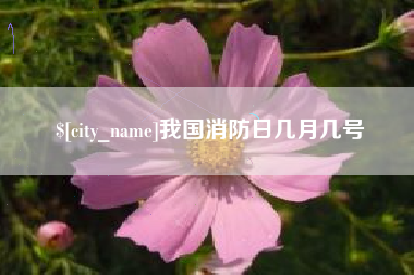 烟台我国消防日几月几号