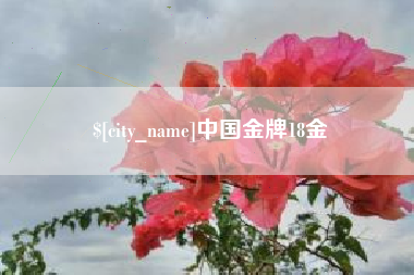 烟台中国金牌18金