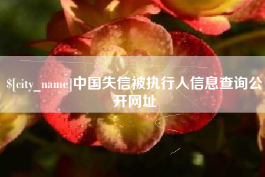 烟台中国失信被执行人信息查询公开网址